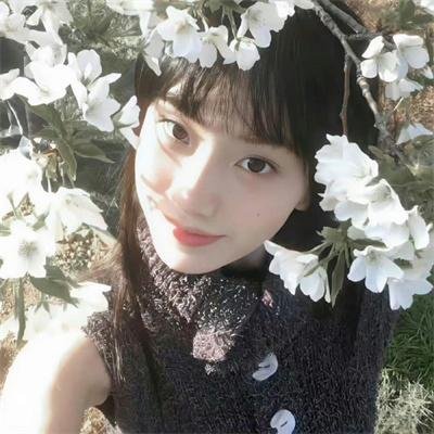 枭雄荡娃